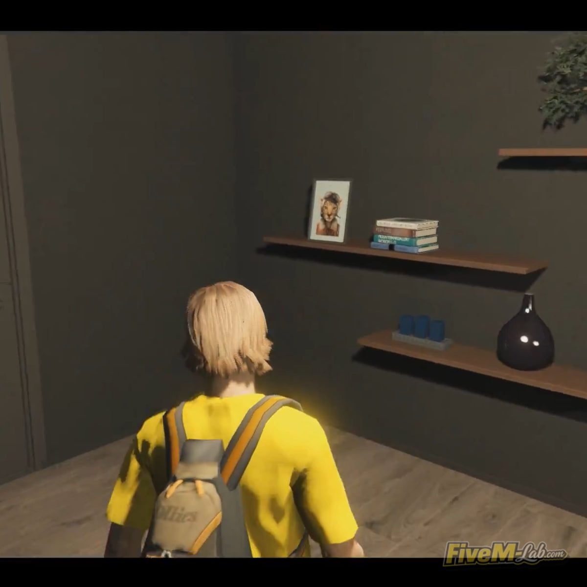 Close-up of interior decorations and shelving in Black House MLO showing high-quality props