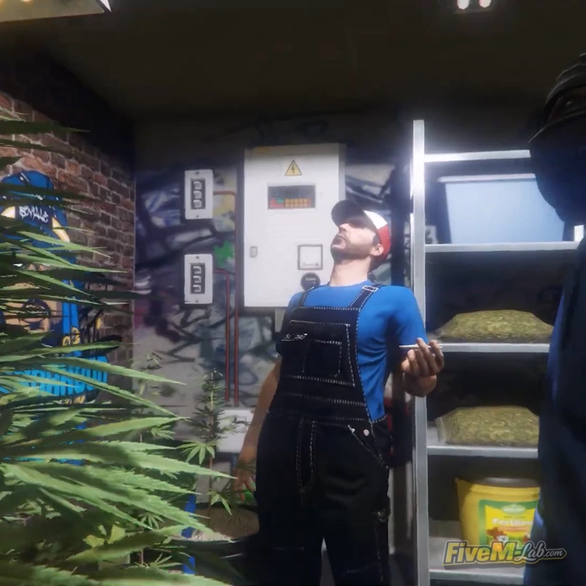Crips Gang Hideout
